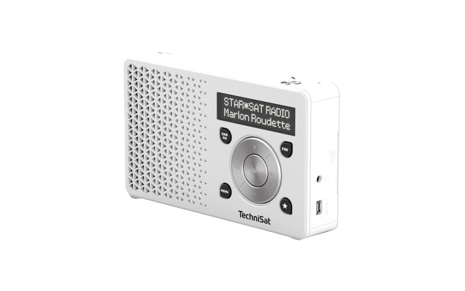 TechniSat DAB+ Digitradio 1 Tragbares Digitalradio mit integriertem Akku