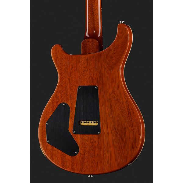 PRS DGT Birds MS