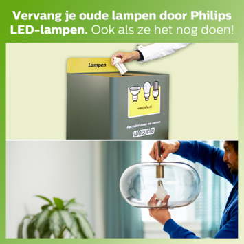 Philips LED peer E27 150W mat niet dimbaar