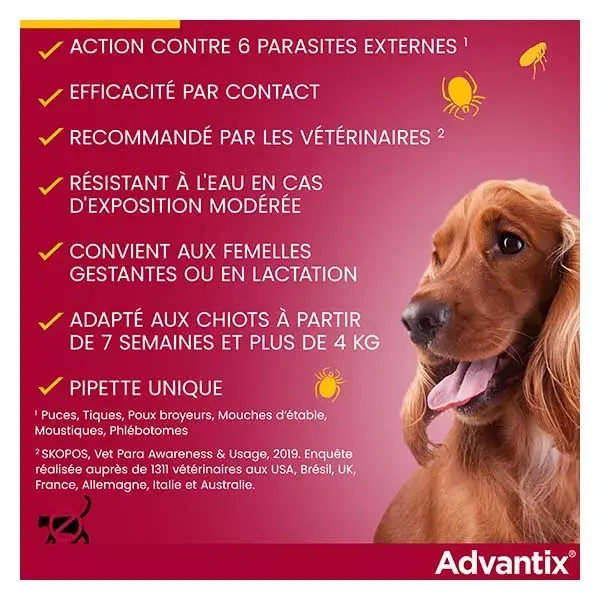 Advantix Chien Solution Antiparasitaire Petite Race 4 à 10kg 6 pipettes