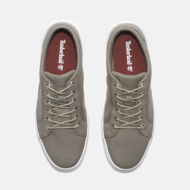 Sneaker Seneca Bay da Uomo in beige