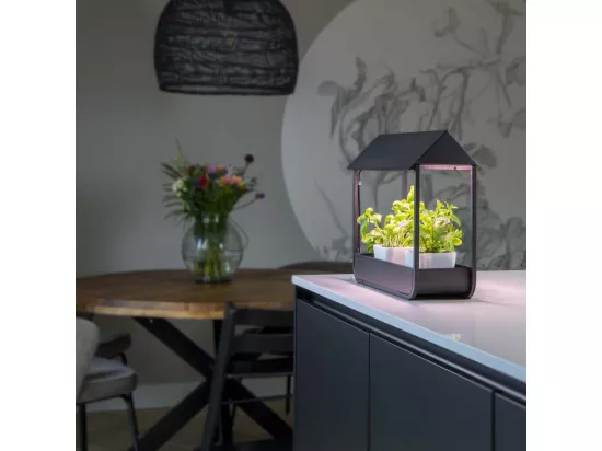 Serre avec lampe de croissance design