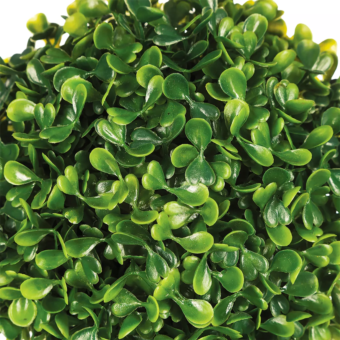 Plante artificielle (D18 cm) Boule de Buis