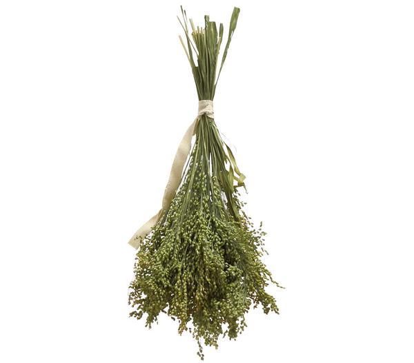 Dehner Best Nature Rispenhirse, 50 g