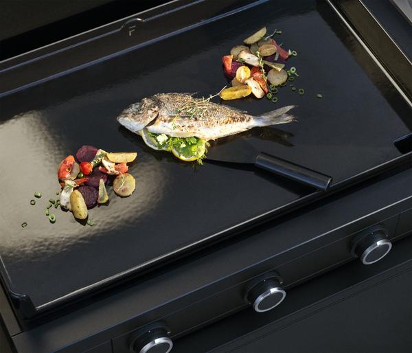 WMF Plancha Set 45E, ca. B50/H24,5/T63 cm