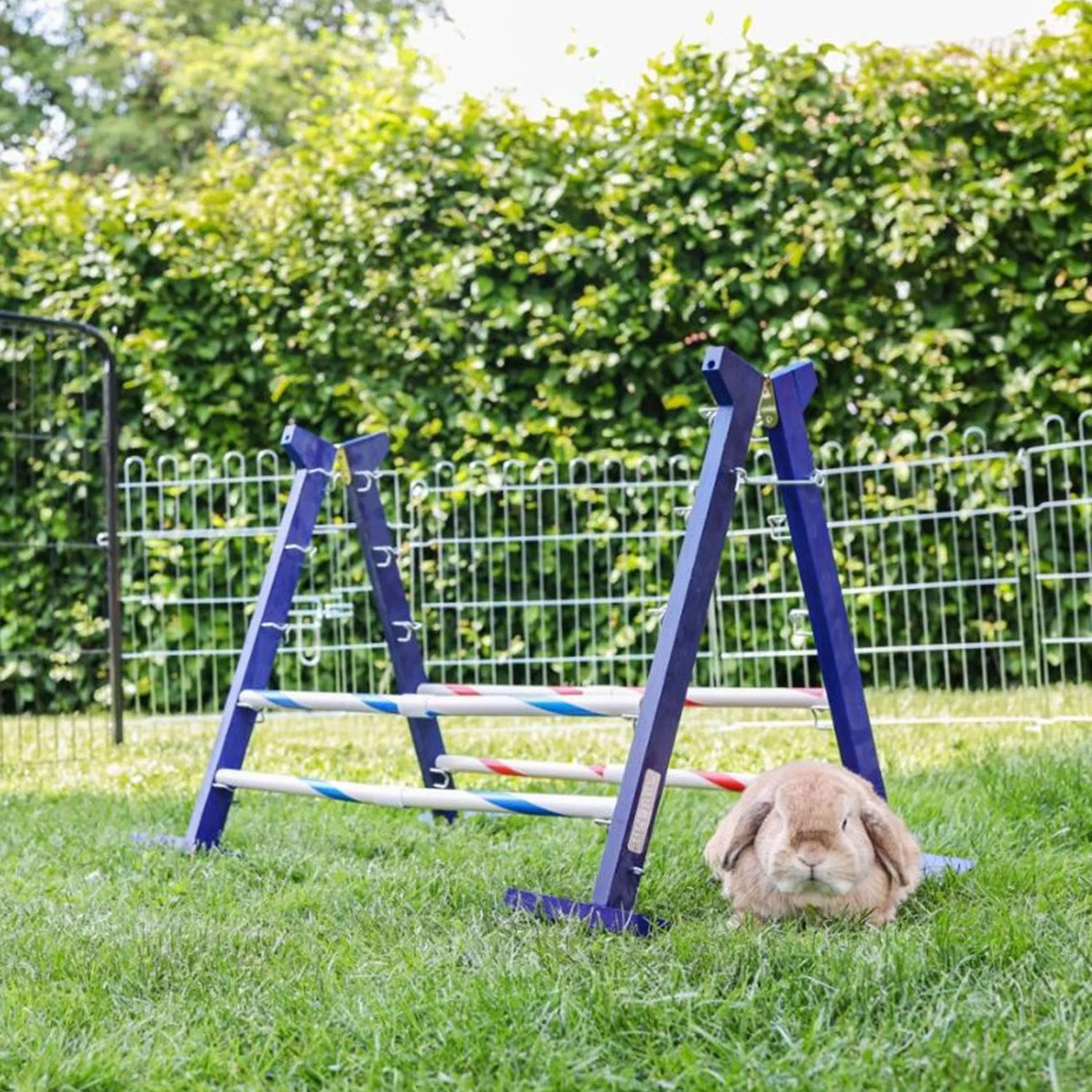 Kerbl Konijnenhindernis Agility 2