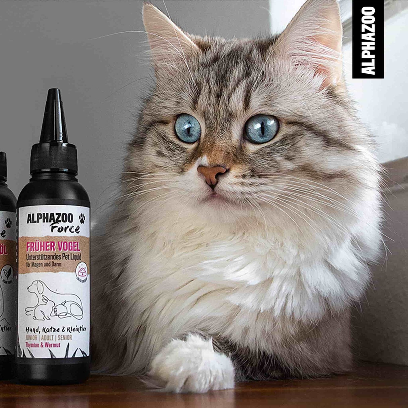 ALPHAZOO Magen-Darm Liquid Darmonie 100 ml I Hund