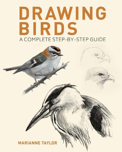Drawing Birds: A Complete Step-by-Step Guide (Paperback)