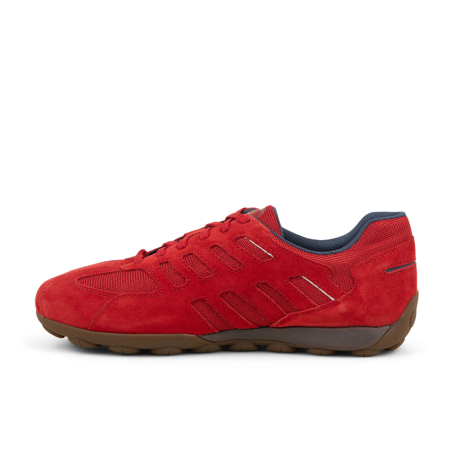 Baskets homme GEOX SNAKE 2.0