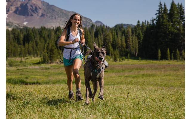 Ruffwear Switchbak Hundegeschirr Granite Gray