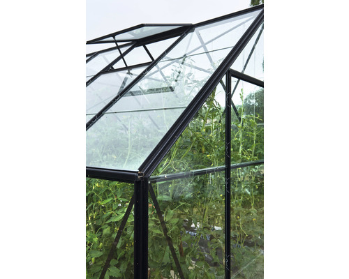 Kas Hallen Universal 128 9,9 m² Helder glas 3 mm 257 x 384 cm zwart