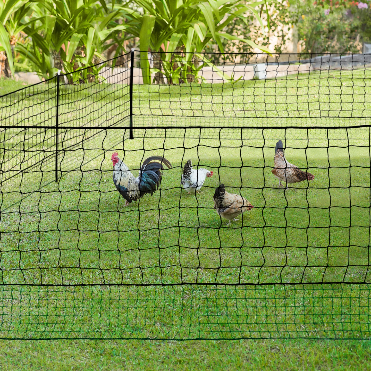 Kit clôture filet à poules 12 M avec porte 6 piquets double pointe