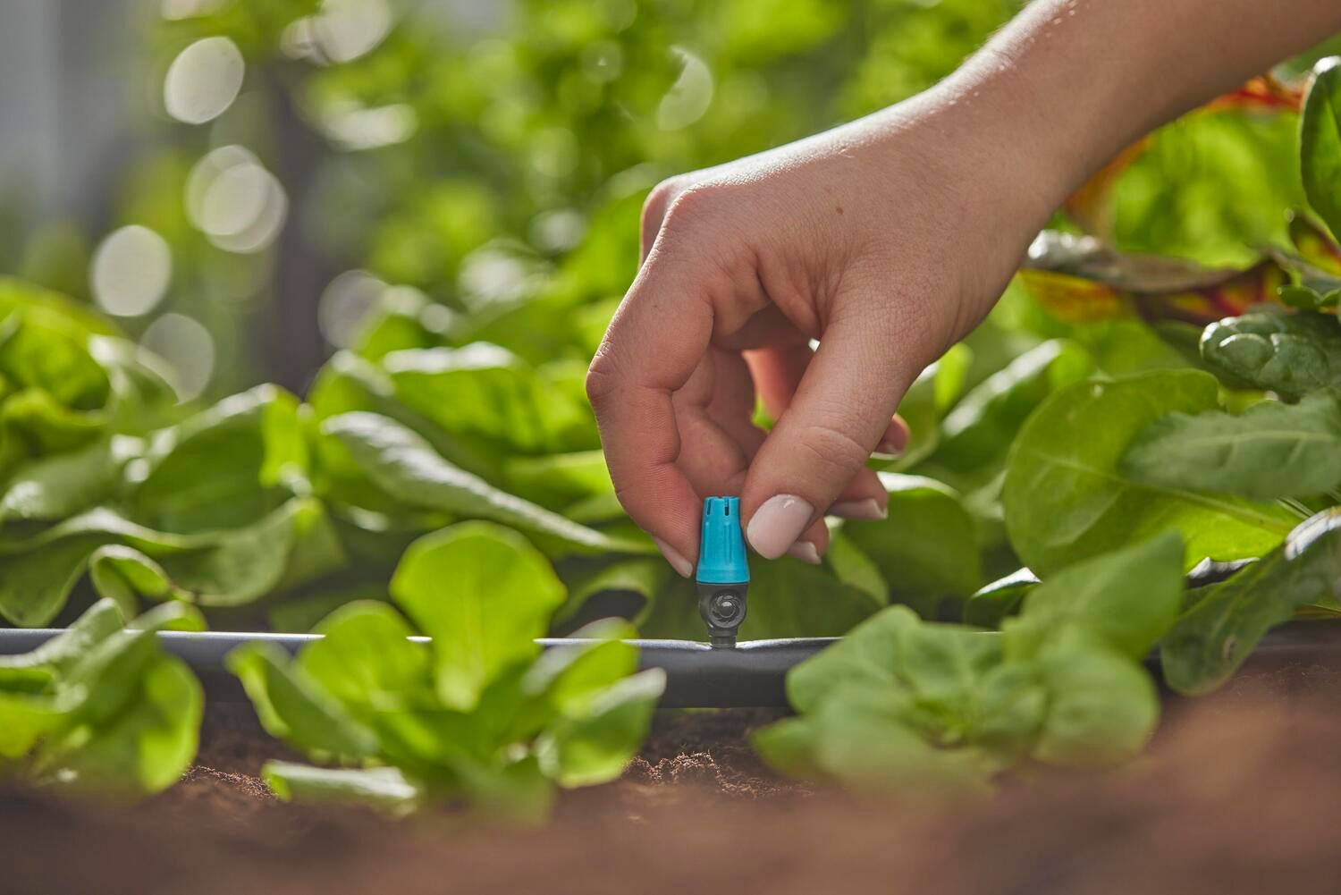 Gardena Micro Drip systeem sproeier kleine oppervlakte