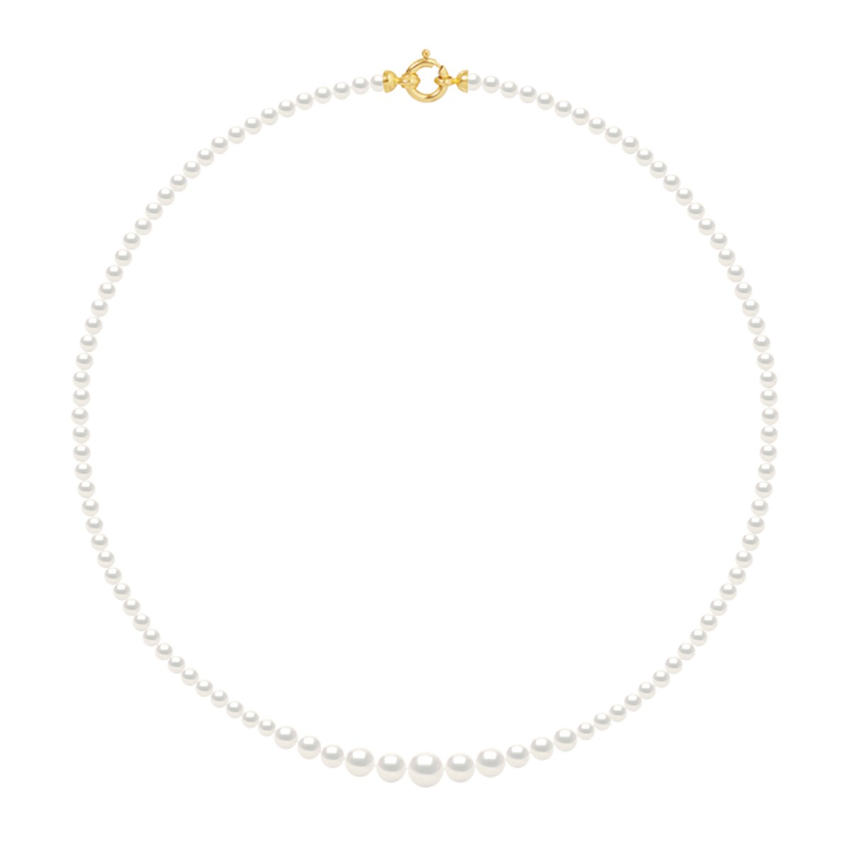Collier Chute - Véritables Perles de Culture d'Eau Douce Rondes de 3 à 6 mm - Blanc Naturel - Or Jaune