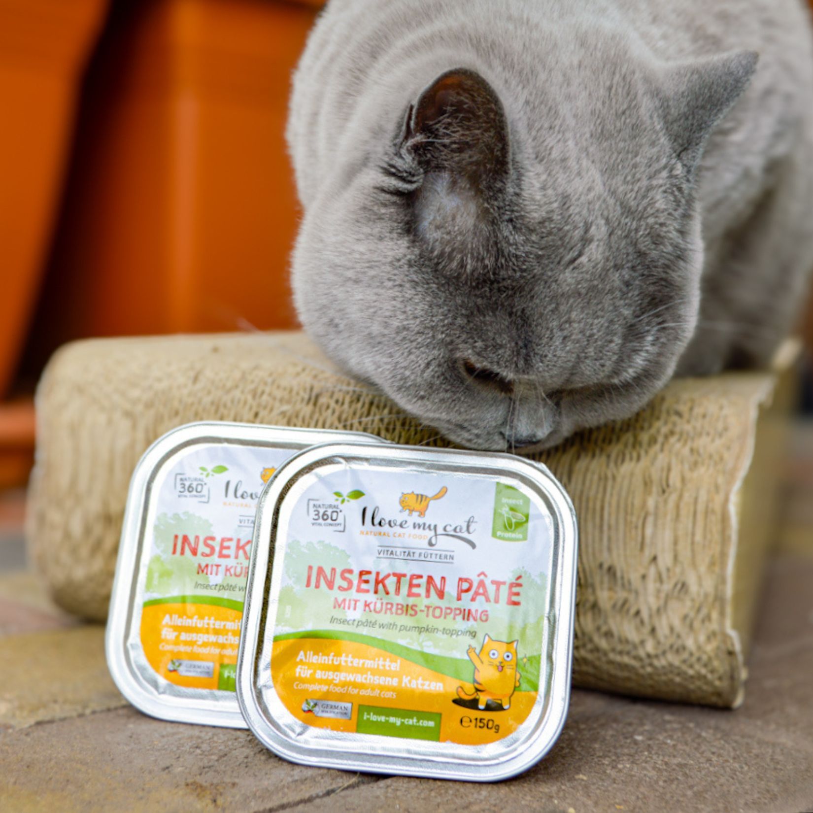 Insekten Pate mit Kürbis-topping I love my cat
