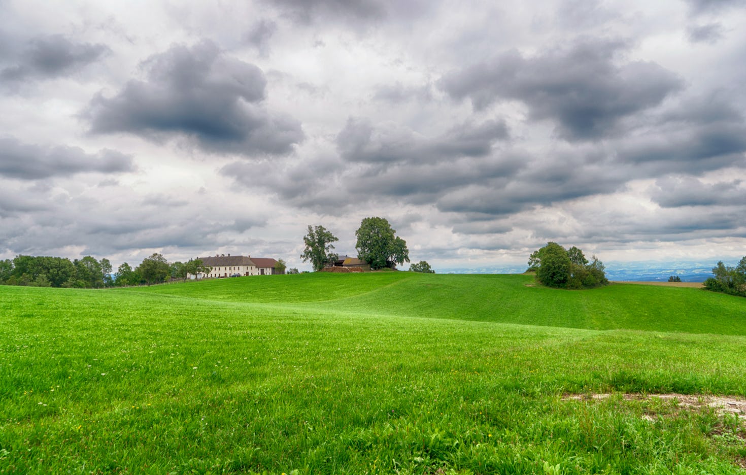 Alpaka Wanderung Sankt Thomas am Blasenstein