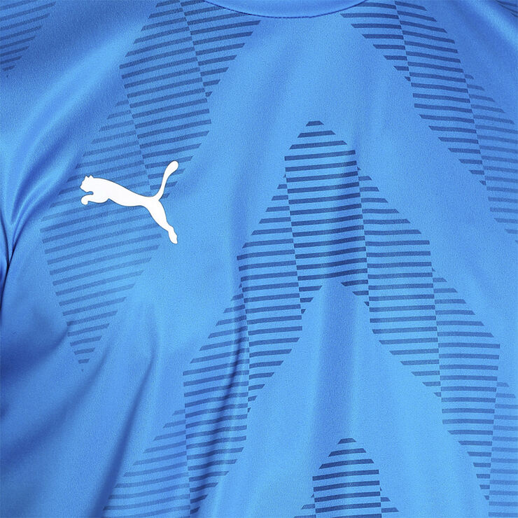 Puma Teamglory Jersey - Trænings T-shirt Blå