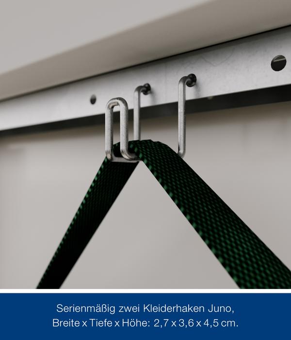 Hörmann Metallgerätehaus Juno JPD4 M-Sk