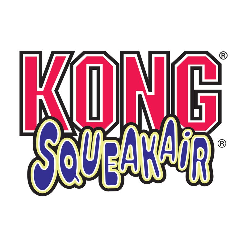Jouet KONG SqueakAir Ball avec corde