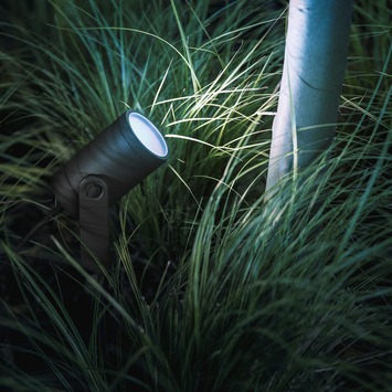 Philips Hue tuinspot Lily zwart - wit en gekleurd licht 8W - 1 spot
