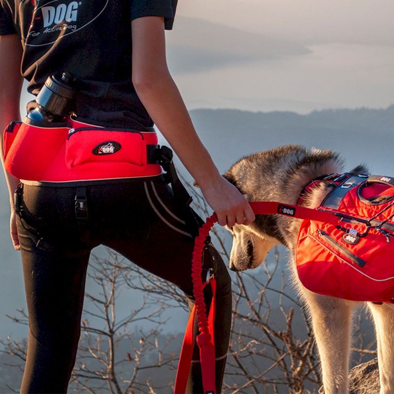 Confort Trek