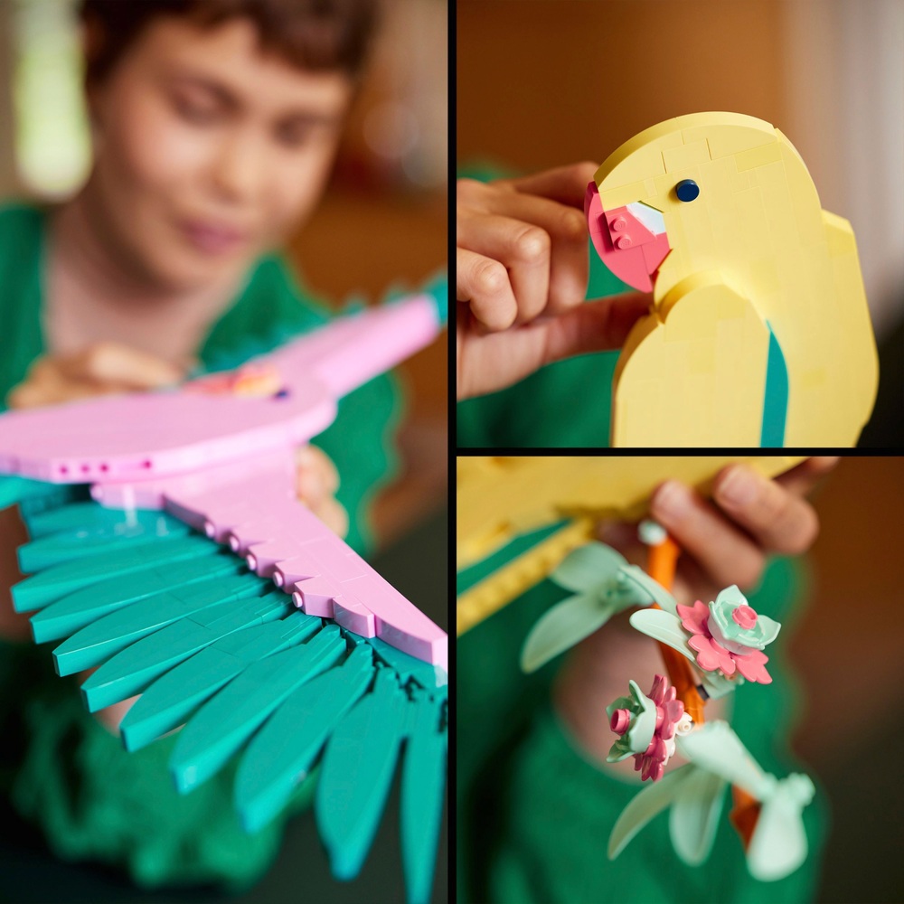LEGO Art 31211 Die Fauna Kollektion Ara-Papageien Set