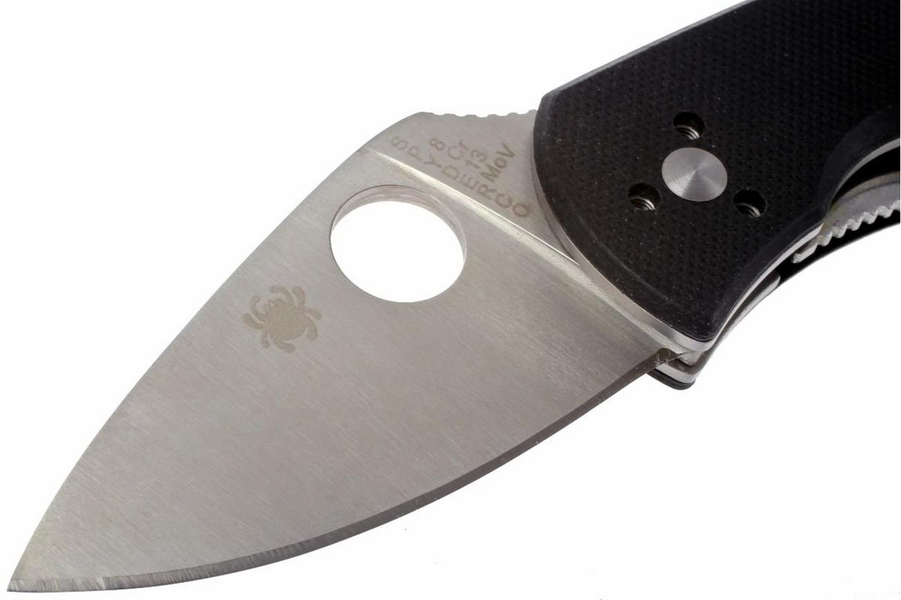 Spyderco Ambitious C148GP zakmes
