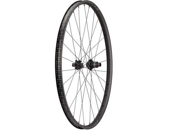 Roval Control Alloy 350 29