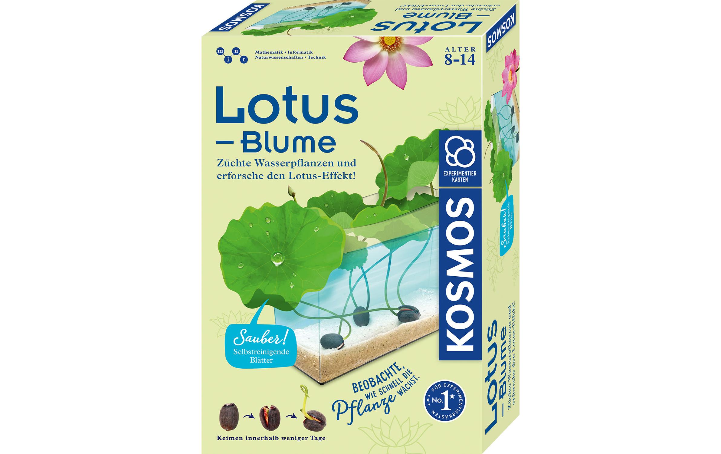 Experimentierkasten LotusblumeEinzigartiges Anzuchtset