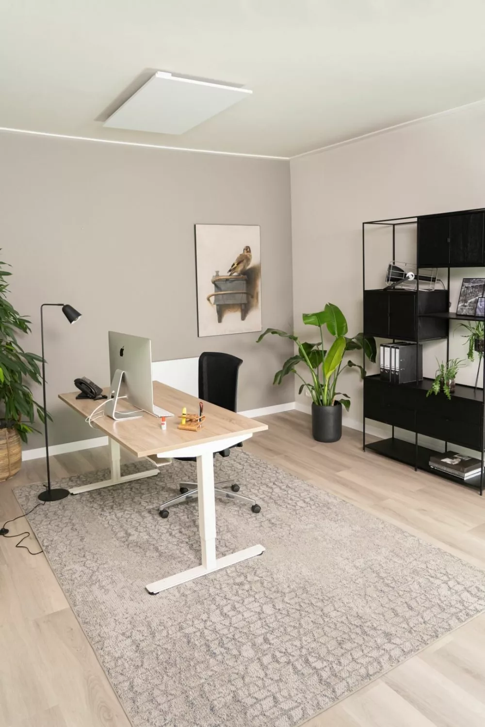EUROM Mon Soleil 800 Wi-Fi infrarood plafondkachel - 800W - 18kg