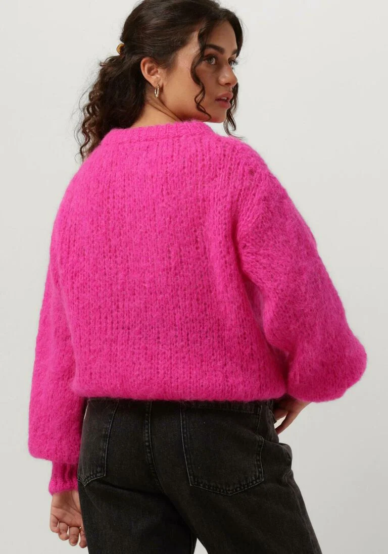 AMERICAN DREAMS roze american dreams trui leonnie alpaca pullover