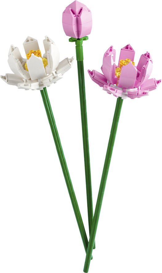 Lego Lotusblomster 40647