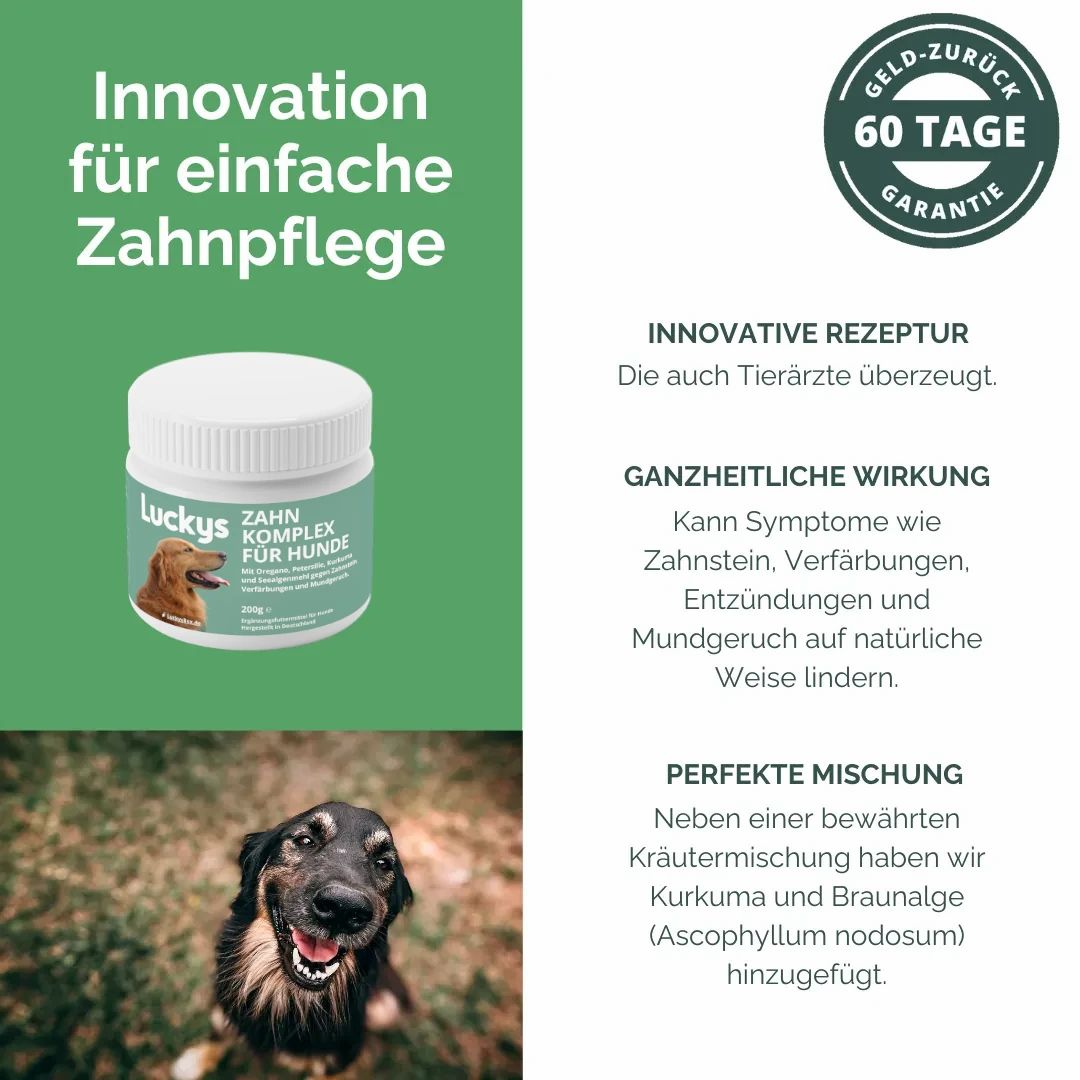 Luckys Box Zahnpflege-Komplex für Hunde