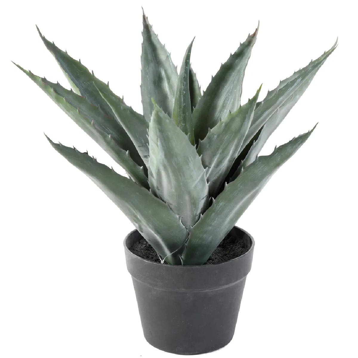 Pegane Agave - 43 x 45 cm