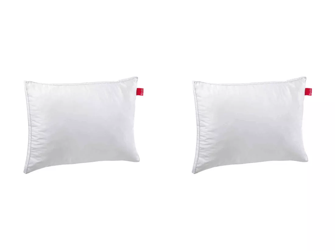 Lot de 2 oreillers Epeda Aloe Vera confort ferme anti-acariens 50x70