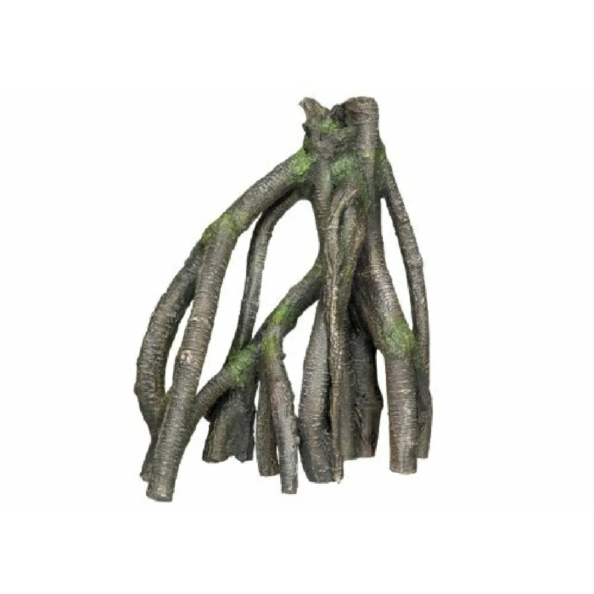 Nobby Mangrove Décoration