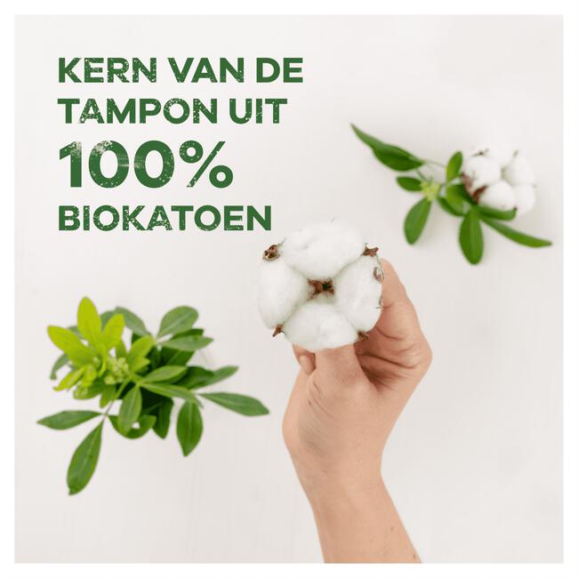 Tampax Cotton Protection Regular Tampons Met Inbrenghuls 14 Stuks