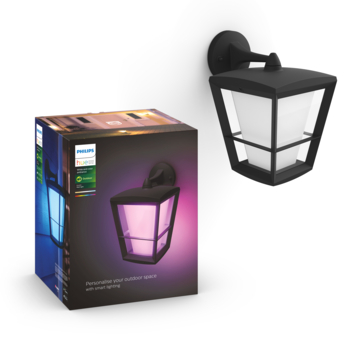 Philips Hue outdoor buitenlamp Econic zwart down