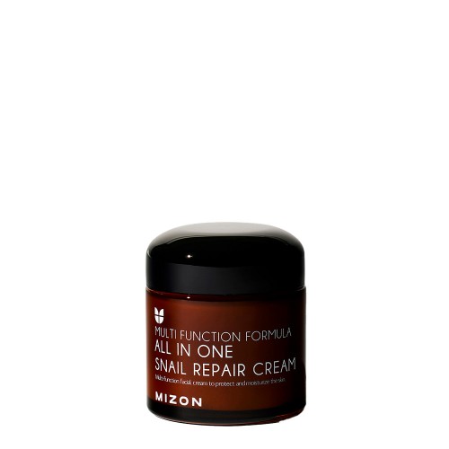 Mizon Snail Repair Creme Tudo em Um 75ml