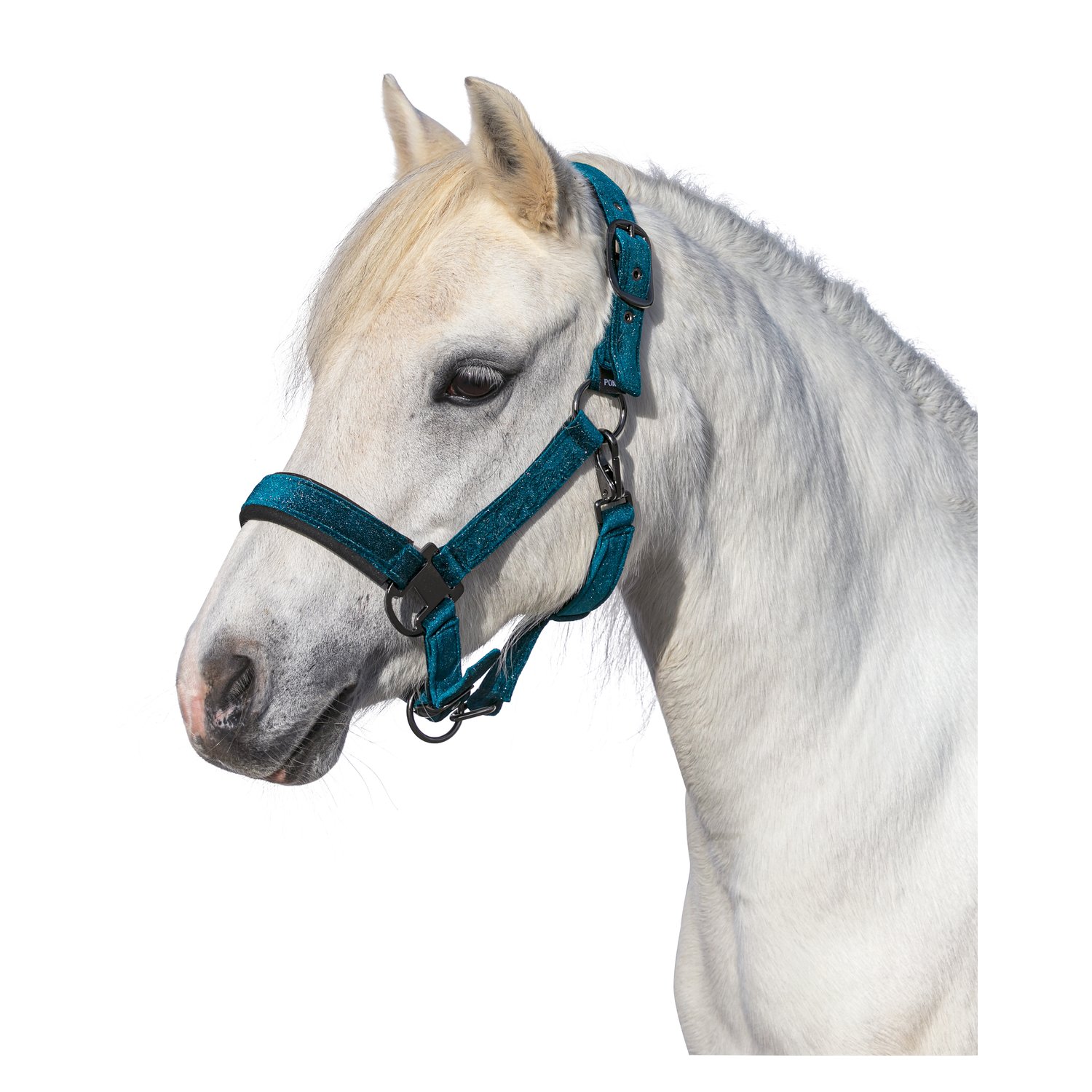Horse-friends Halfter Athina  - petrol
