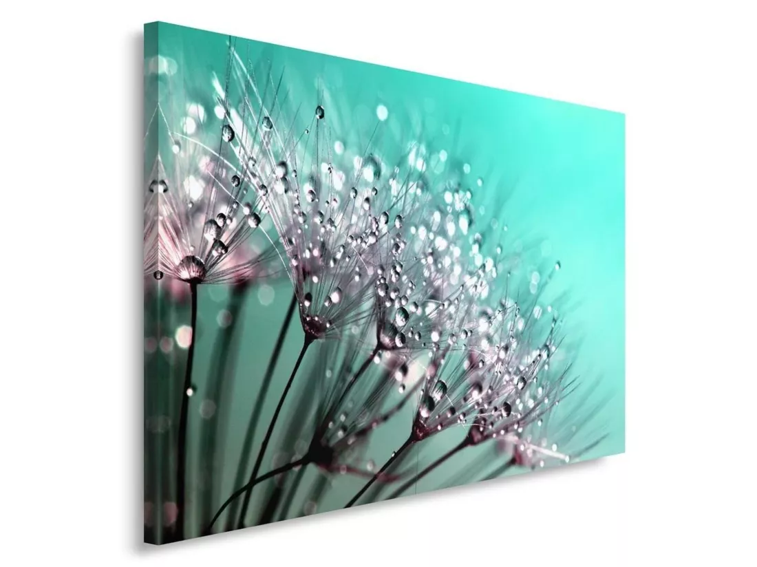 Tableau pissenlit et rosée - 50 x 70 cm
