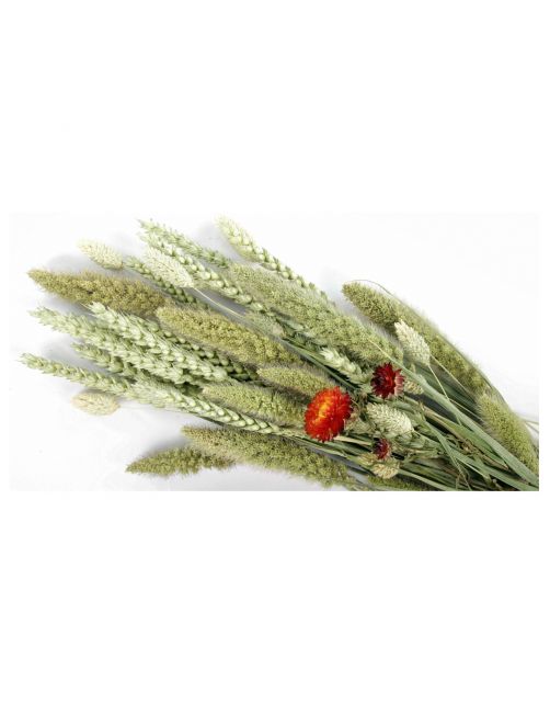 Esve Pet Bouquet Koker Habitat - Knaagdiersnack - ca. 200 g