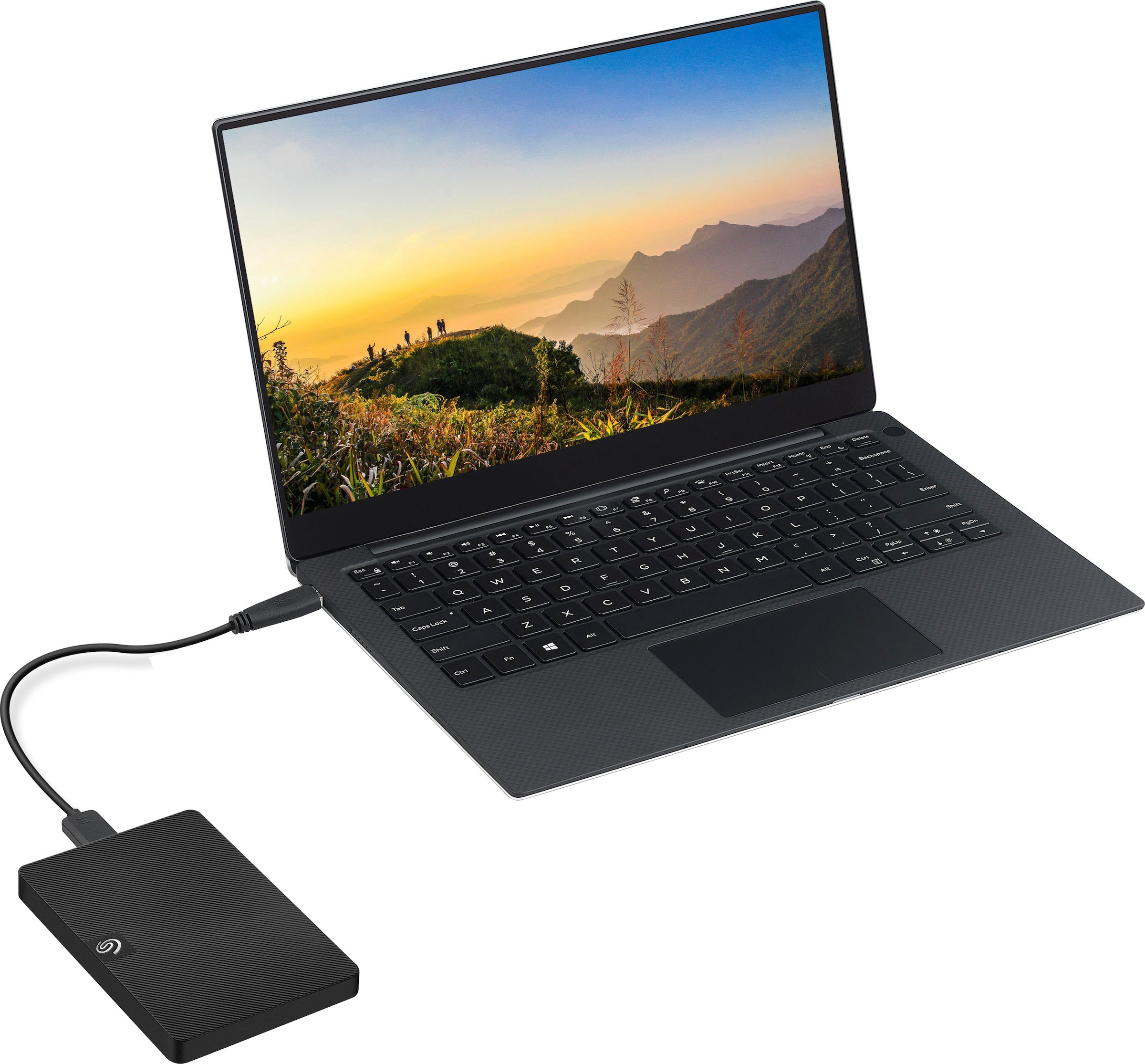 Seagate externe HDD-Festplatte »Expansion Portable« 2,5 1 TB Anschluss USB 3.0