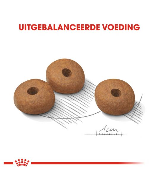 Royal Canin Light Weight Care Medium - Hondenvoer