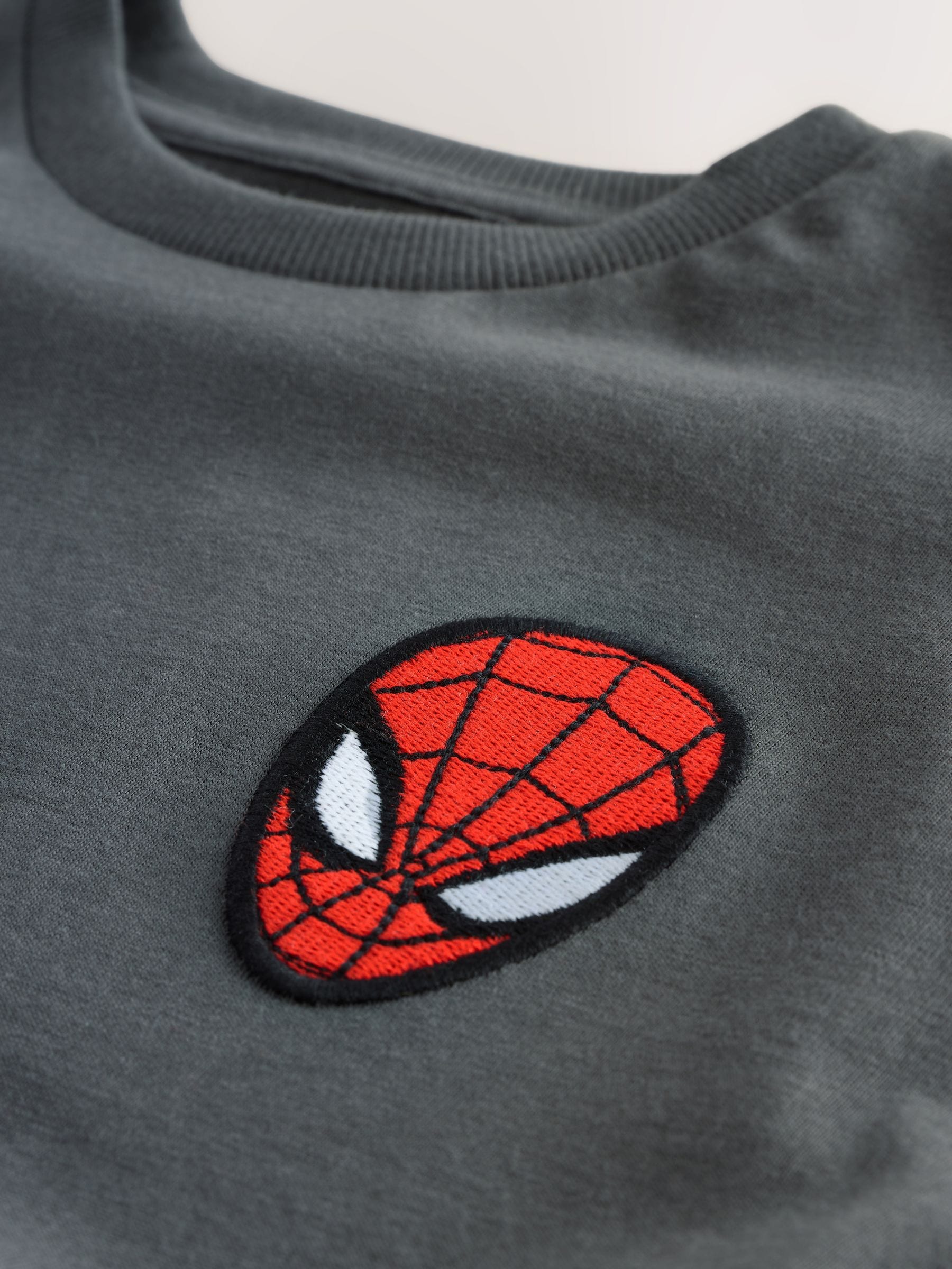 Grijs - Spiderman T-shirt met korte mouwen (3-16jr)