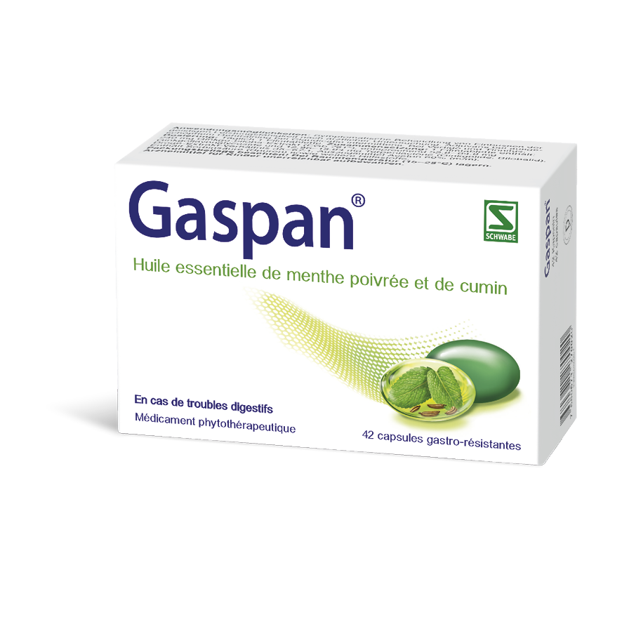 GASPAN Weichkaps magensaftresistent Blist 42 Stk<br>42 Stück, Blister, Weichkapsel, magensaftresistent, magensaftresistent