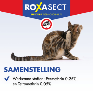 Roxasect Spuitbus Tegen Vlooien 300ML
