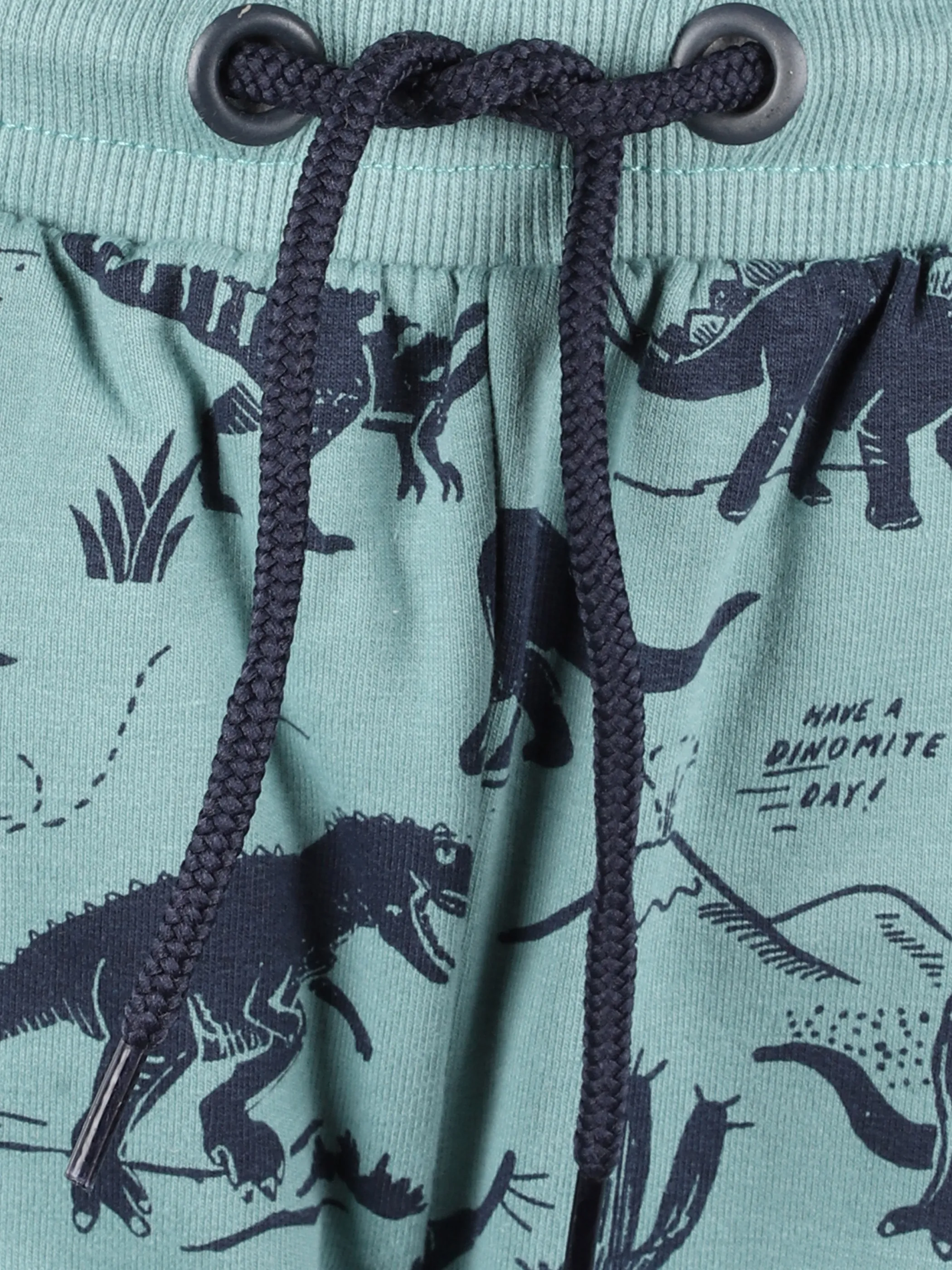 Jungen Jogginghose mit Dinomotiven