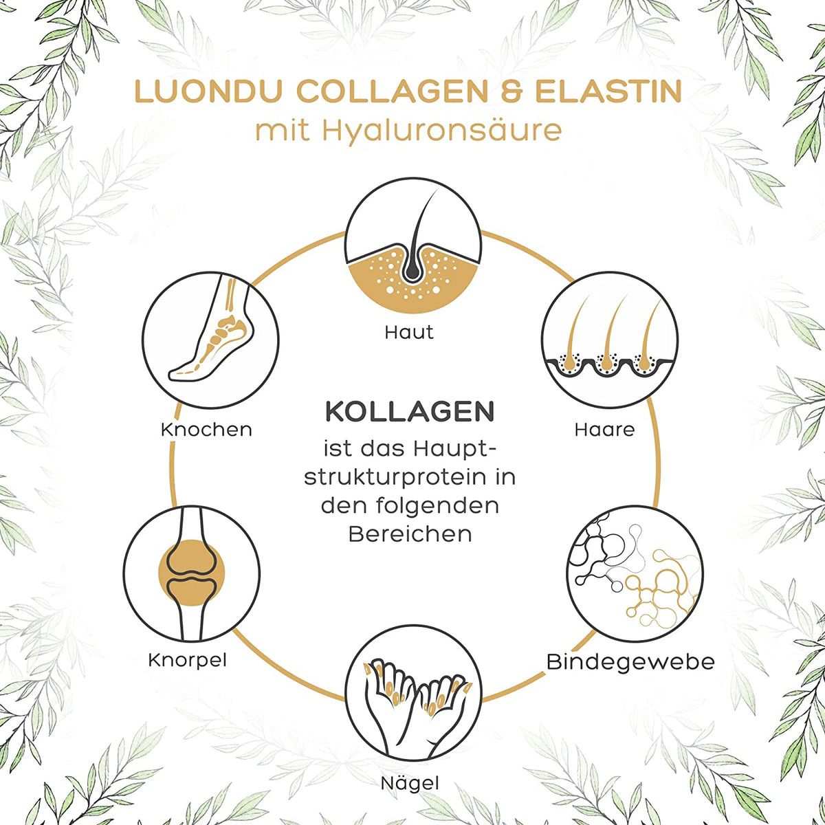 Kollagen Pulver mit Elastin, Hyaluron, Vitamin C von Luondu