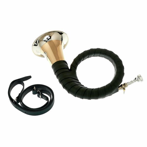 Dotzauer Meister Bb Horn 18825 Set